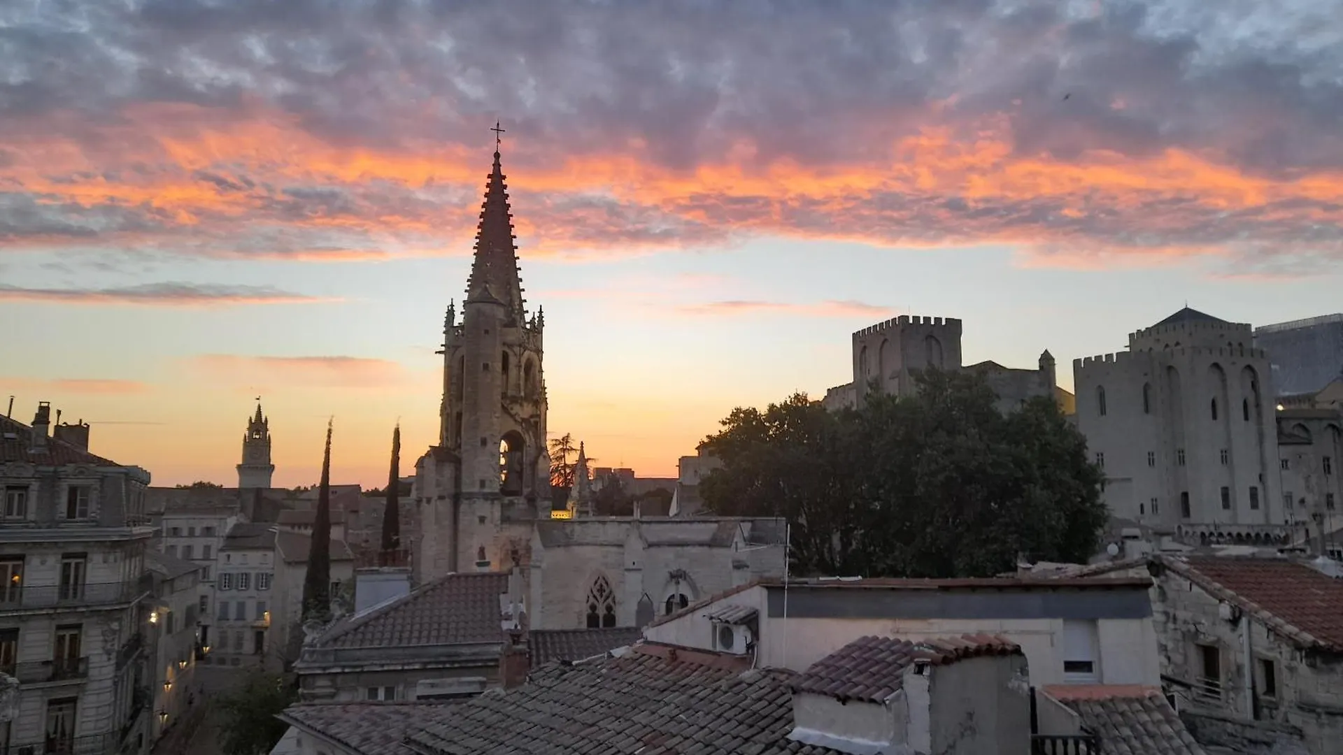 Appart Face Au Palais Des Papes Avignon France